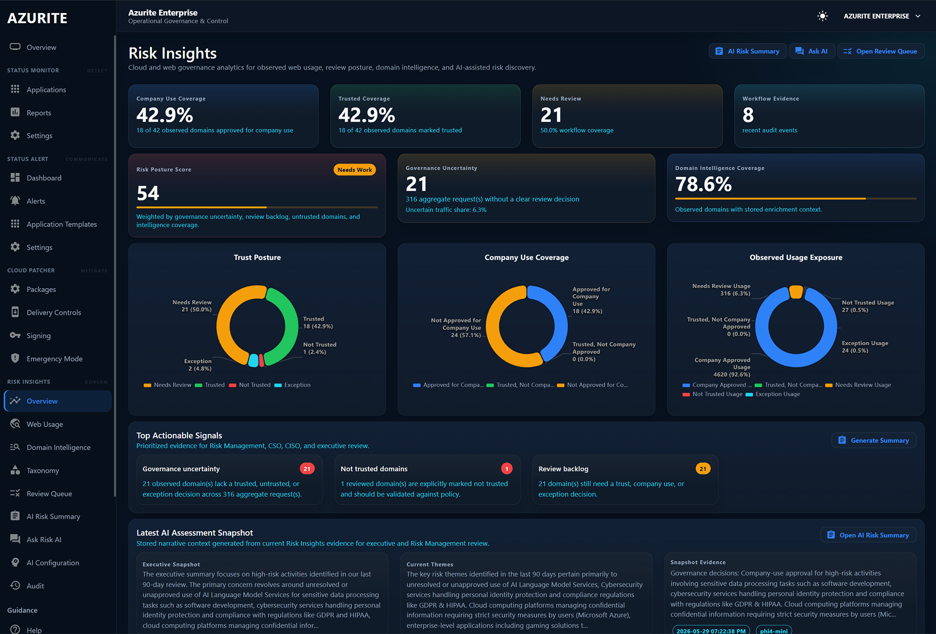 Risk Insights overview dashboard showing review posture, domain intelligence, observed usage, and governance charts.